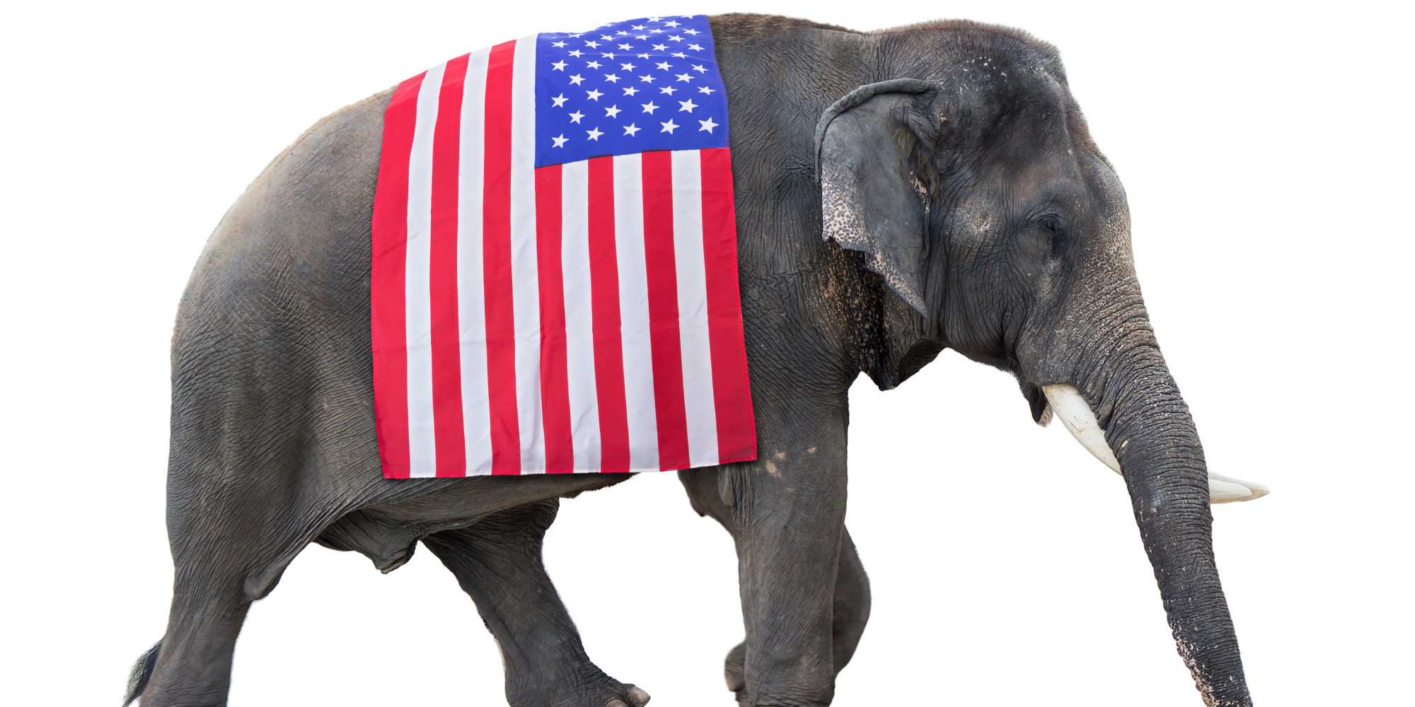 The GOP And The Constitution The Grotesque Mismatch Between Walk And 