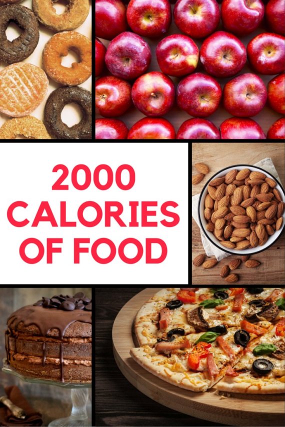 kilojoules in food list australia