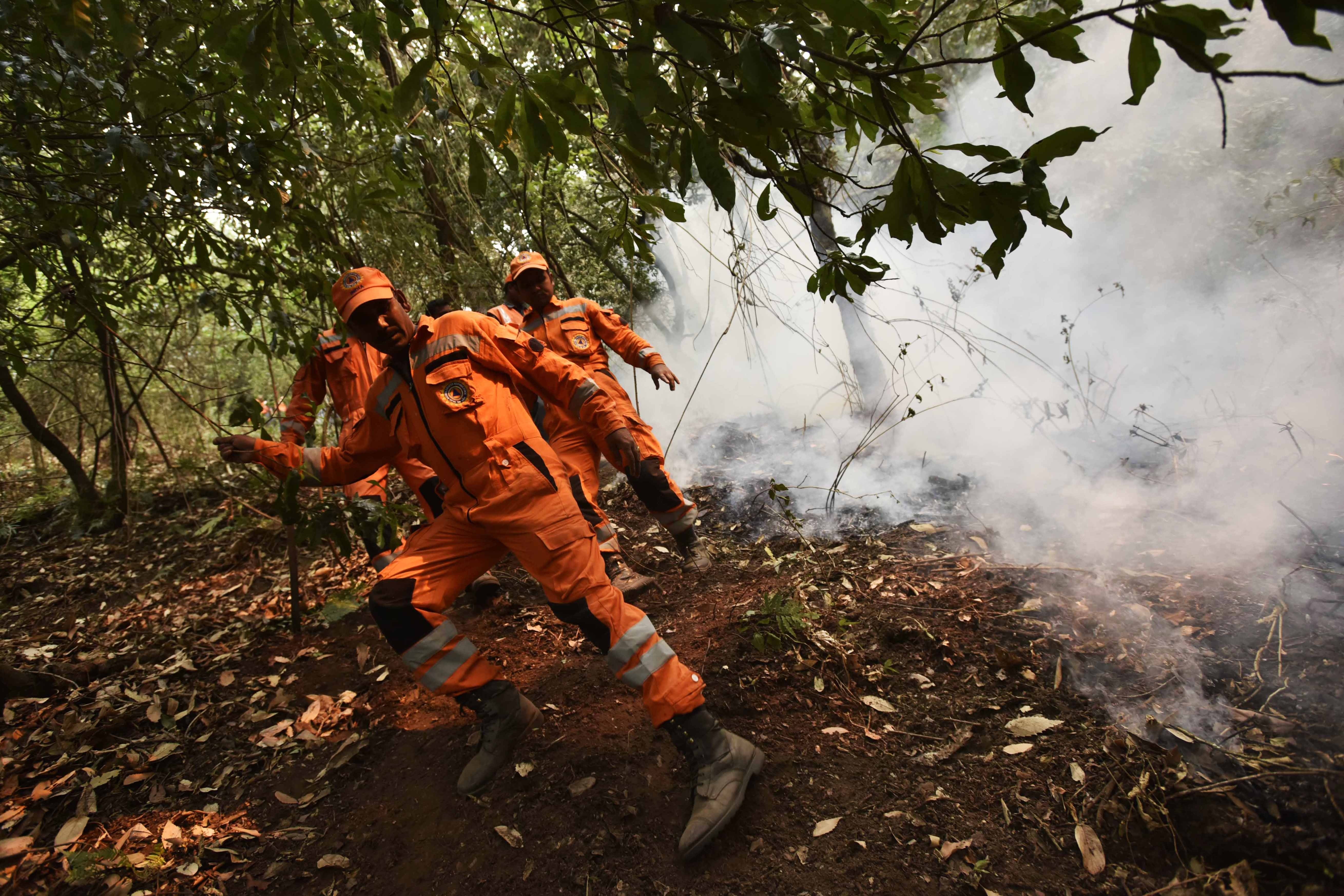 10,000 People Will Try To Put Out Uttarakhand's Forest Fire On War ...