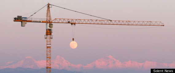 Moon Crane