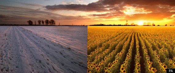Winter Summer