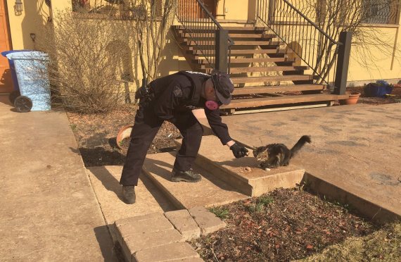 fort mcmurray fire pets