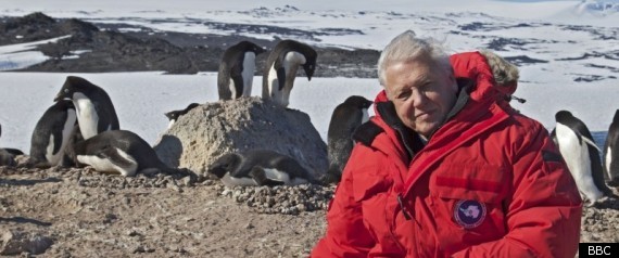 Frozen Planet