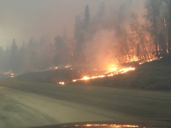 alberta
