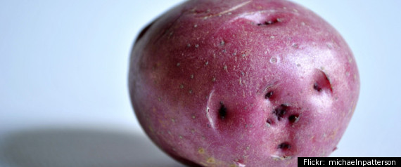 Potato
