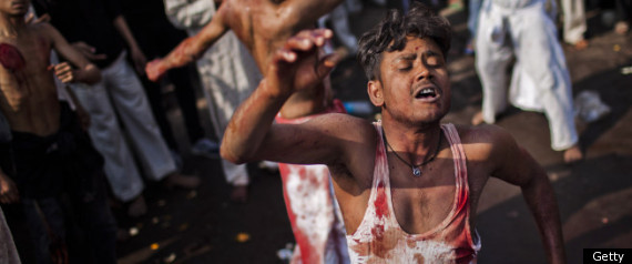 Pictures Of The Day 7 December