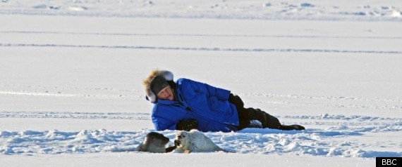 Frozen Planet