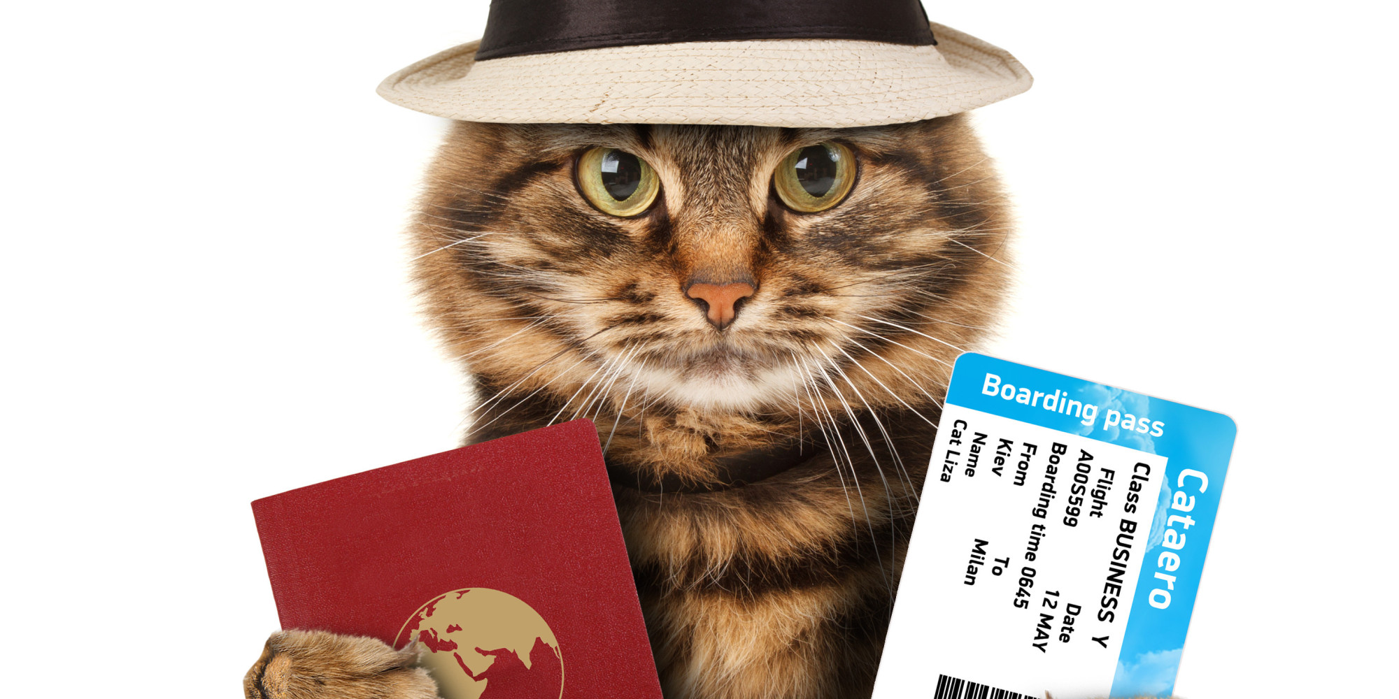 Have Kitty, Will Travel Internationally HuffPost