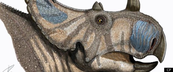 Spinops