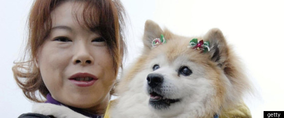 Oldest Dog