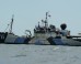 Japan's Annual Whale Hunt