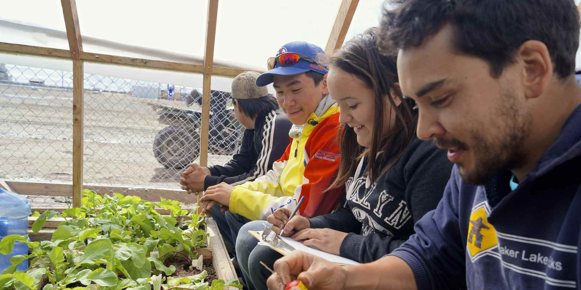 Arviat, Nunavut Young Adults Are Learning To Grow Their Own Produce - Huffington Post Canada