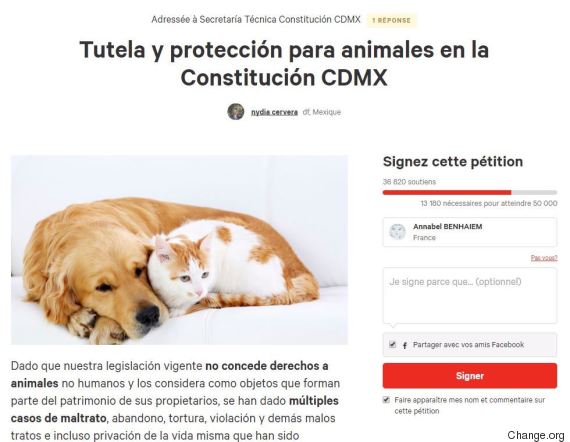 droits animaux