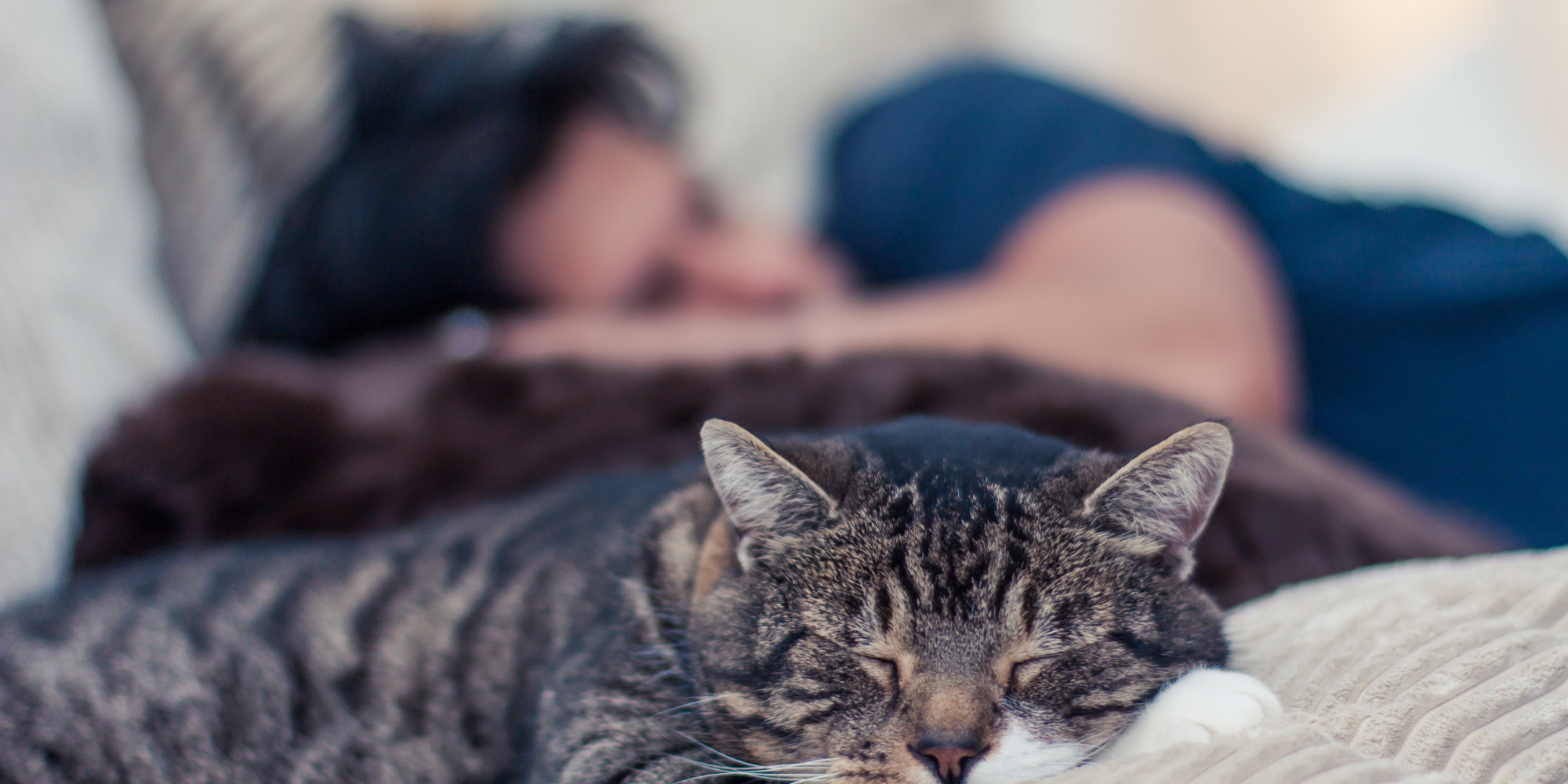 Резултат с изображение за man and cat