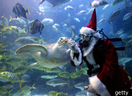 Weekend Agenda: Get Into The Holiday Spirit