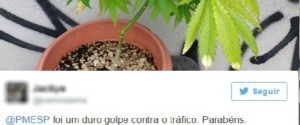 TWITTER MACONHA