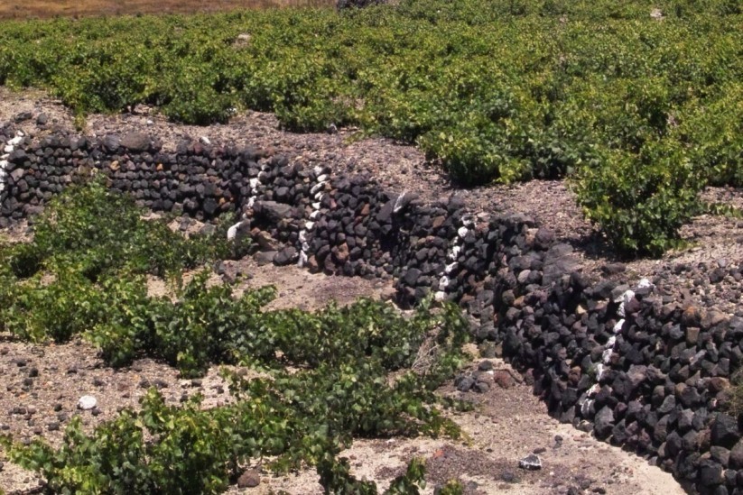pezoules