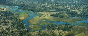 OKAVANGO DELTA