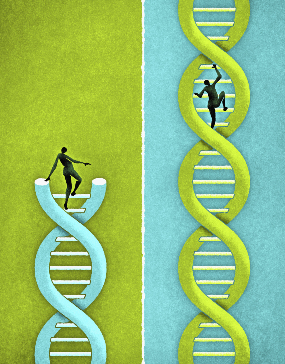 dna map