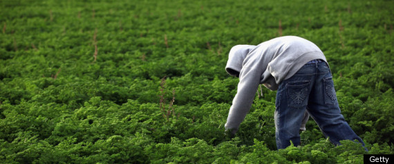 Migrantworker