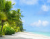 The Scientific Reason You Should Take a Beach Vacation