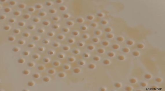 http://i.huffpost.com/gen/4349502/thumbs/o-ABSORBPLATE-570.jpg?7