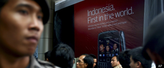 Indonesia Blackberry Rim
