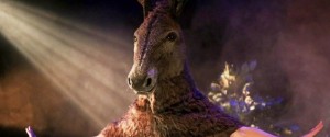 equino