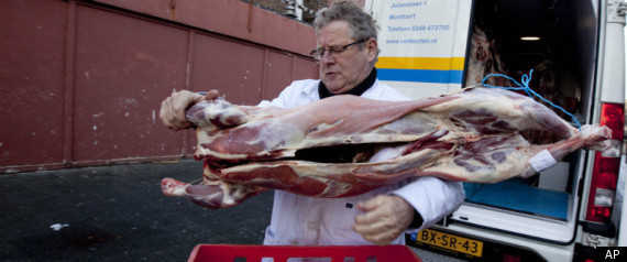 Netherlands Slaughter Ban