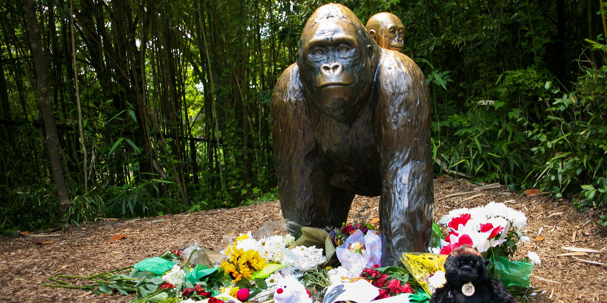 An Open Letter to the Cincinnati Zoo Mother HuffPost