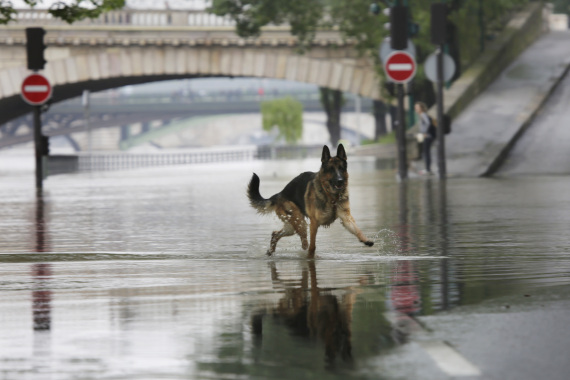 flooding