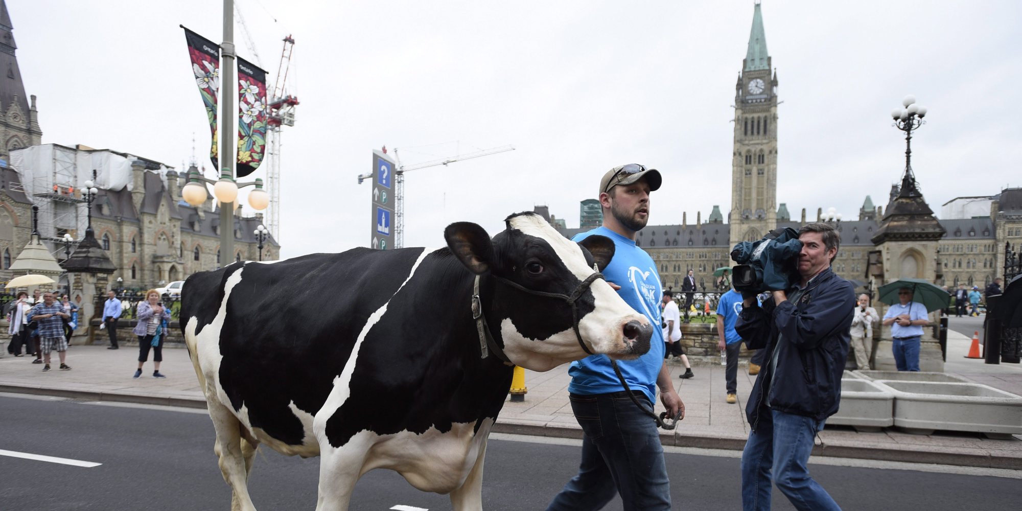 Canadian Farmers Protest Dairy Regulations On Parliament Hill