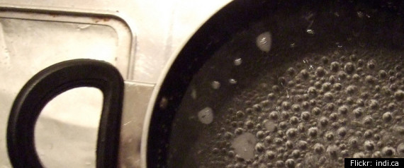 Boiling Water On Dog