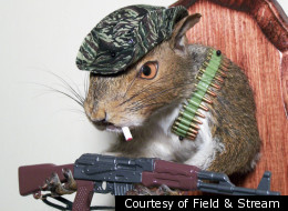 Taxidermic Squirrels: They're Just Like Us (Sort Of) (PHOTOS)