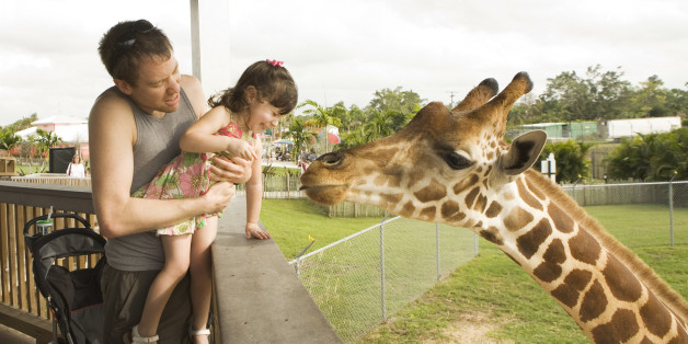 are zoos good or bad article