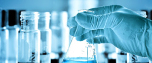 investigacion