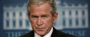 bush