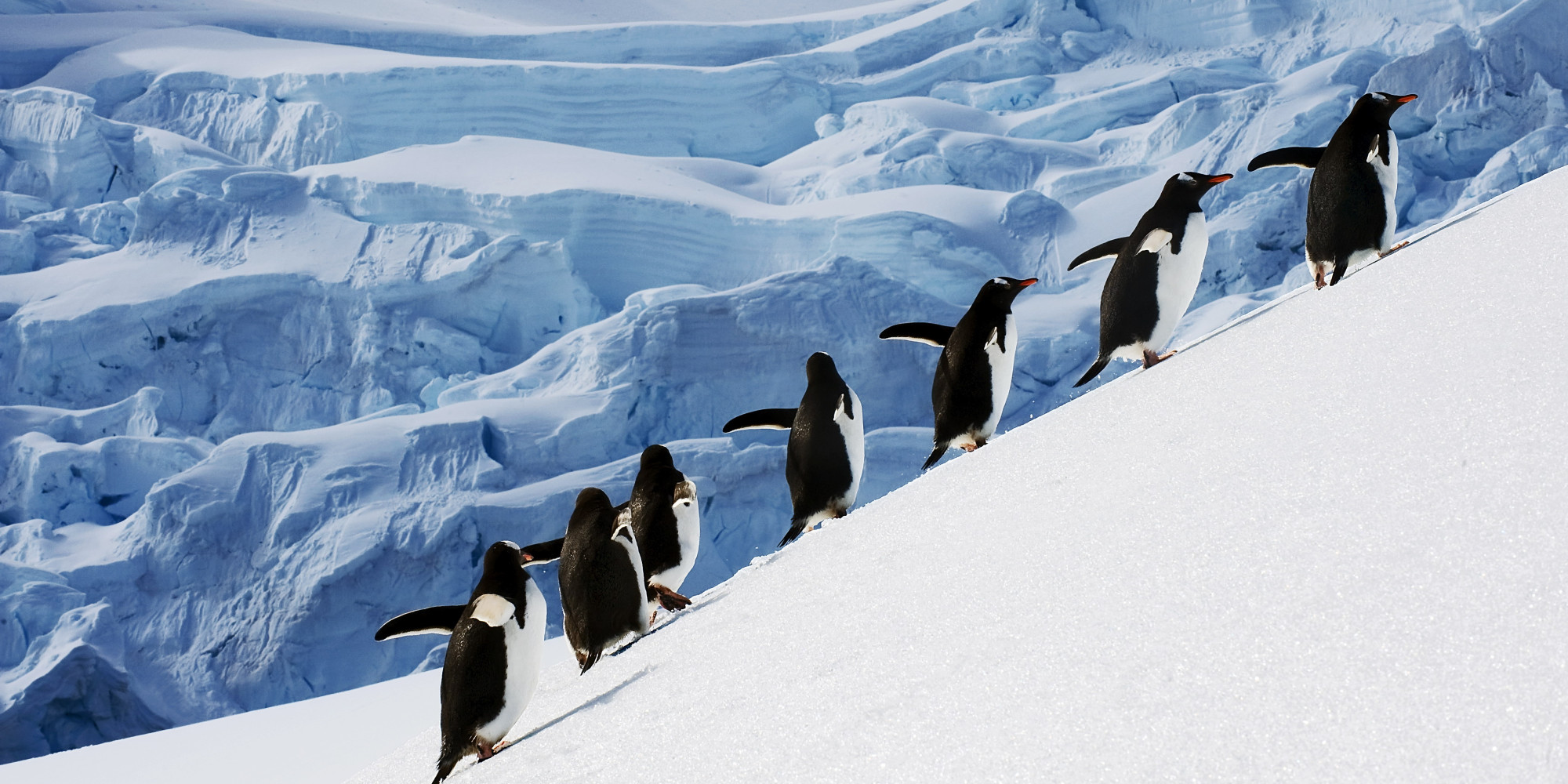 How Do You Actually Get to Antarctica? | HuffPost