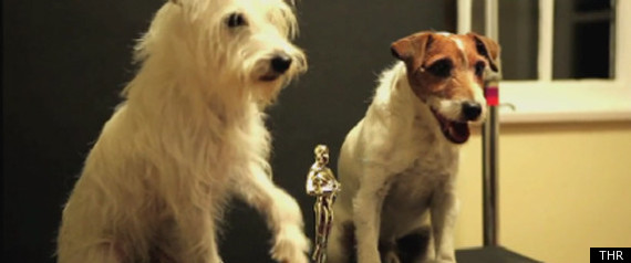 Oscar Dogs