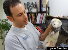 Exotic Dangers: Could The Global Pet Trade Import The Next Pandemic?