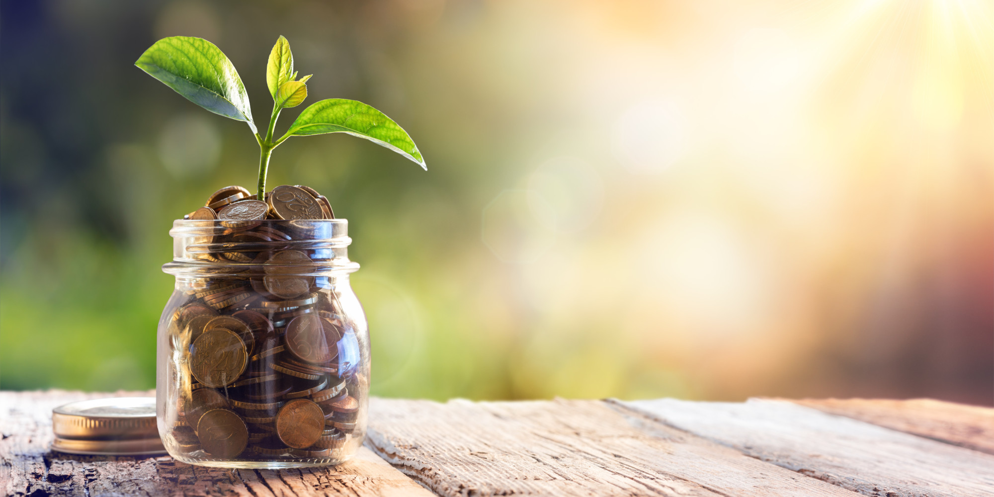 Circular Economies: OneHealth of Future Food - Huffington Post