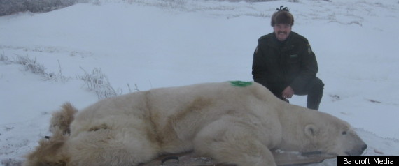 Polar Bear Prison