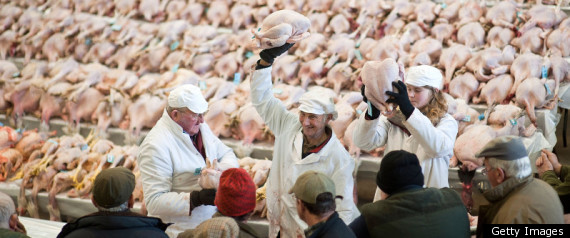 Poultry Sale