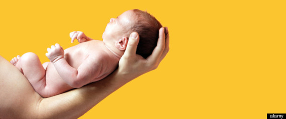 Newborn