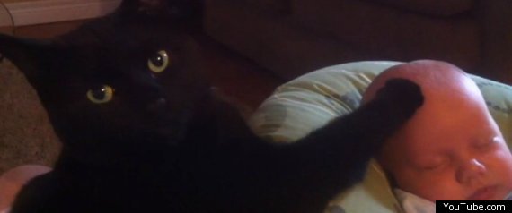 Cat Calms Crying Baby