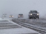 Cars in the snow