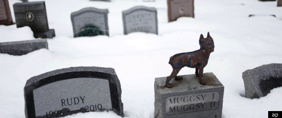 Pet Cemetery