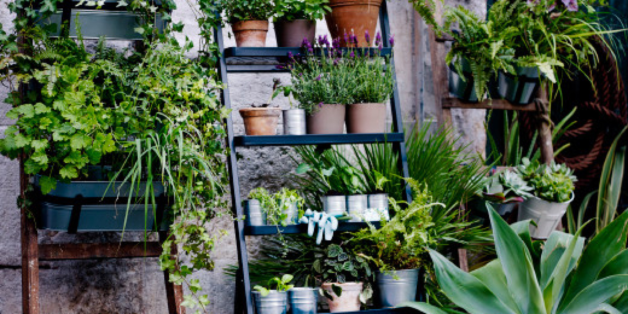 21 Pots And Planters For Your Indoor And Outdoor Gardens