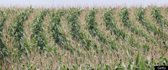 Iowa
