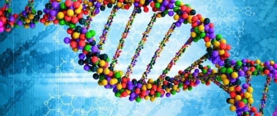 DNA